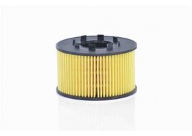 Orjinal FİLTRON OE665/1 TRANSİT YAĞ FİLTRESİ